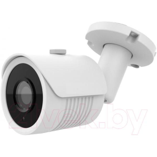 IP-камера Arsenal AR-IP502SDP/60-28