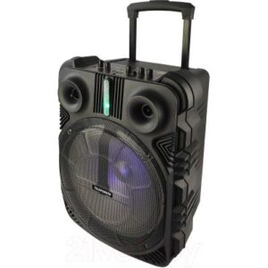 Портативная колонка Telefunken TF-PS2306