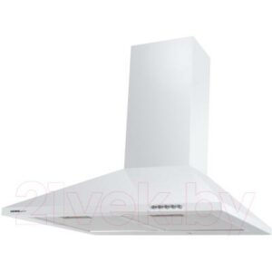 Вытяжка купольная HOMSair Delta 50