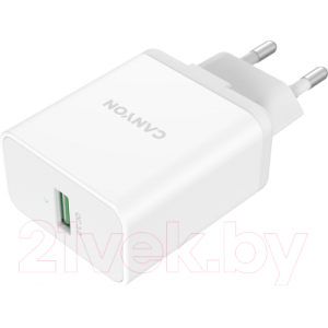 Зарядное устройство сетевое Canyon CNE-CHA24W